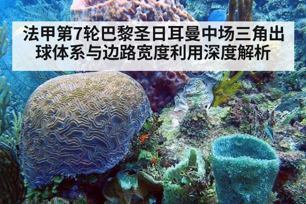 法甲第7轮巴黎圣日耳曼中场三角出球体系与边路宽度利用深度解析